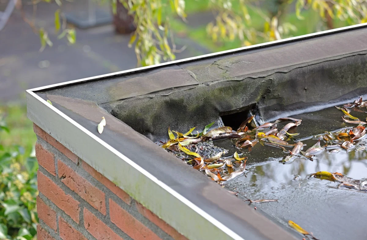Roof Drain and Scupper Repair